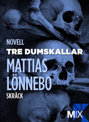 Tre dumskallar bookCoverFor