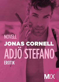 Adjö Stefano! : novell