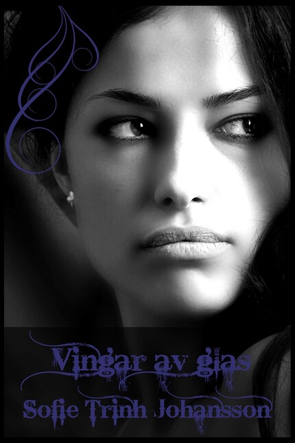 Vingar av glas bookCoverFor