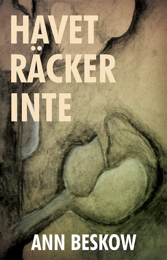 Book cover for Havet räcker inte