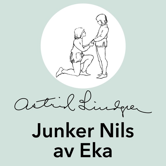 Book cover for Junker Nils av Eka