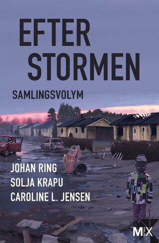 Efter stormen bookCoverFor
