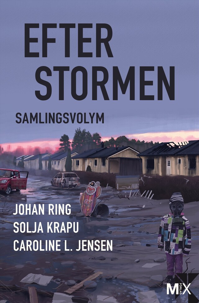 Copertina del libro per Efter stormen