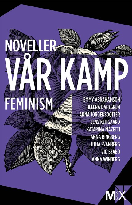 Vår kamp : feministiska noveller bookCoverFor