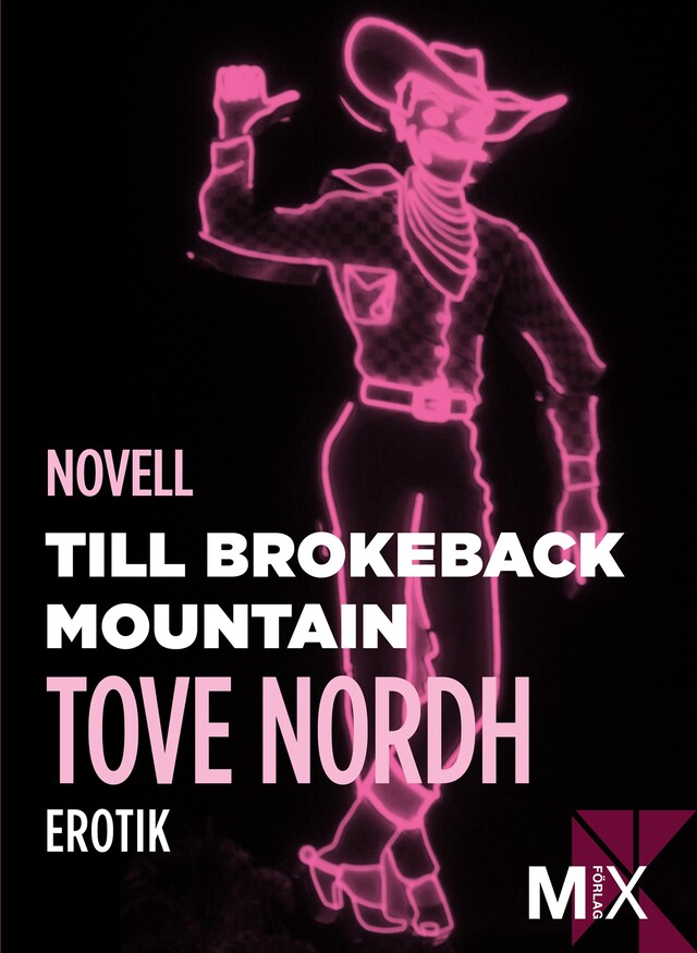 Book cover for Till Brokeback Mountain: erotisk novell