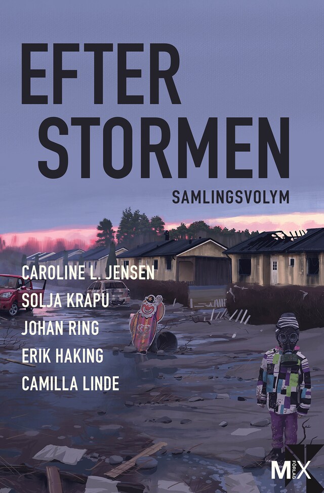 Book cover for Efter stormen : utökad samlingsvolym