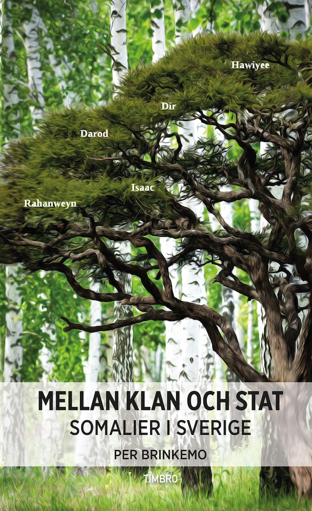 Book cover for Mellan klan och stat