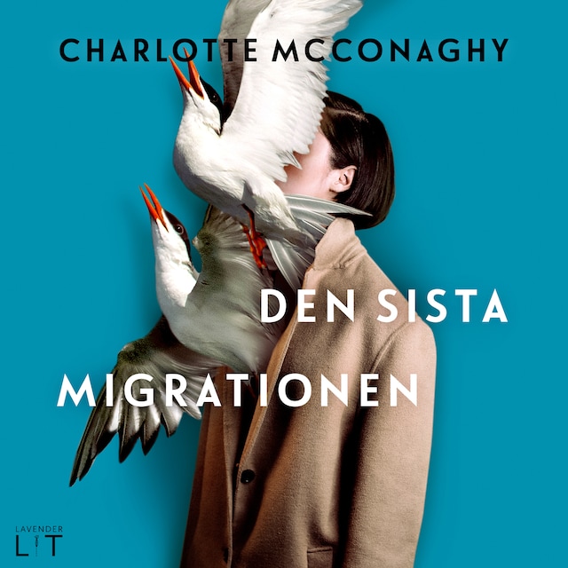 Book cover for Den sista migrationen