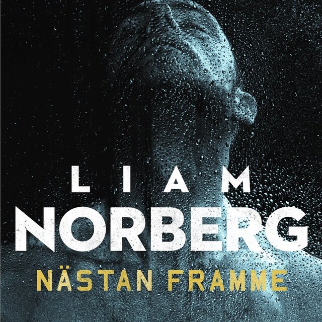 Book cover for Nästan framme