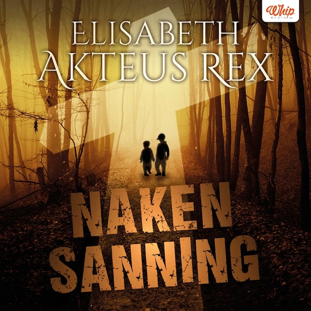 Book cover for Naken Sanning