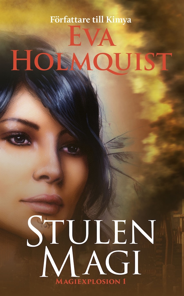 Book cover for Stulen magi