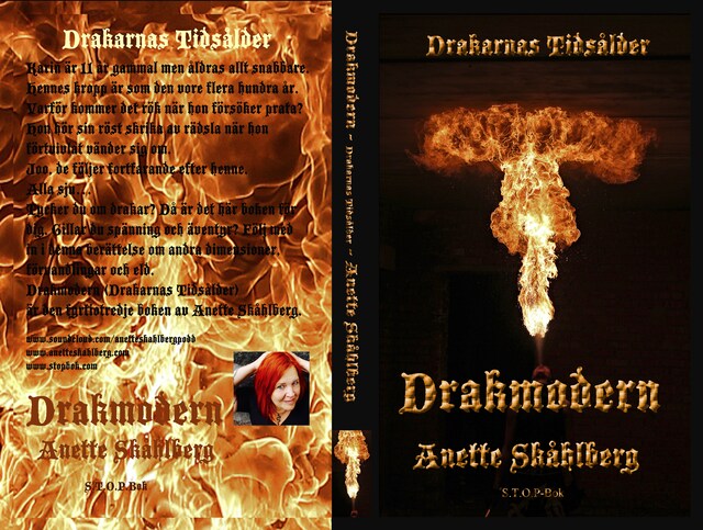 Couverture de livre pour Drakmodern