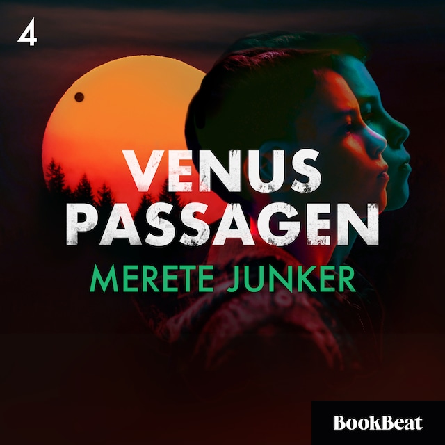 Book cover for Venuspassagen