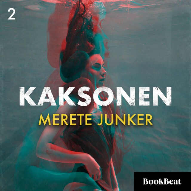 Book cover for Kaksonen