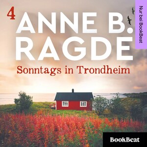 Sonntags in Trondheim - Lügenhaus-Serie 4 bookCoverFor