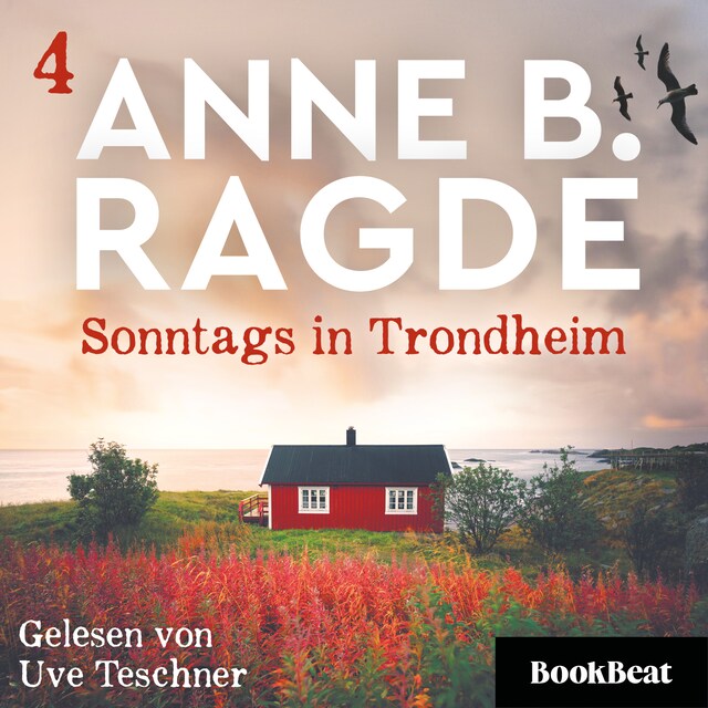 Book cover for Sonntags in Trondheim