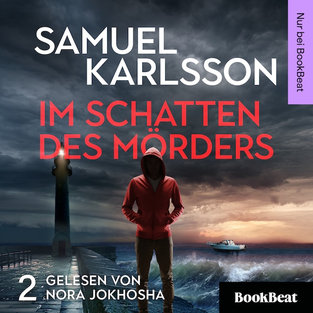 Book cover for Im Schatten des Mörders