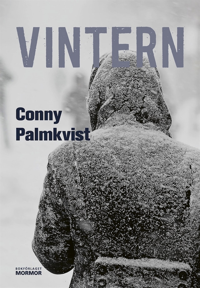 Book cover for Vintern