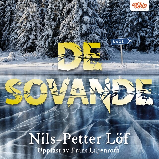 Book cover for De sovande