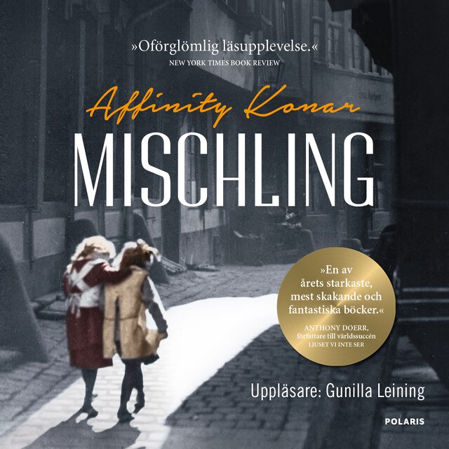 Book cover for Mischling