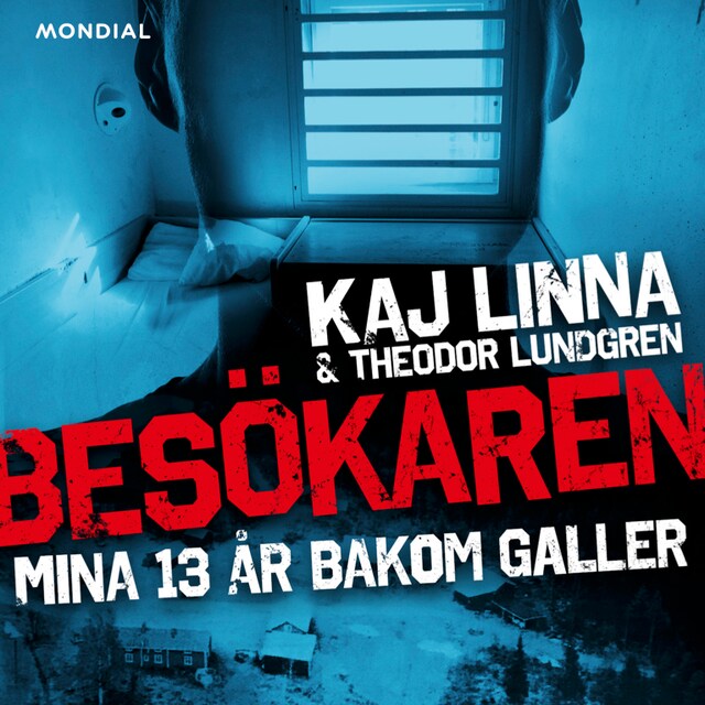 Book cover for Besökaren: Mina 13 år bakom galler