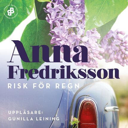 Risk för regn bookCoverFor