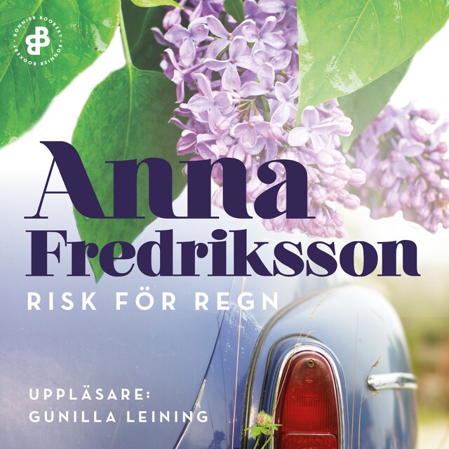 Book cover for Risk för regn