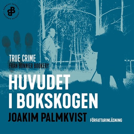 Huvudet i Bokskogen bookCoverFor