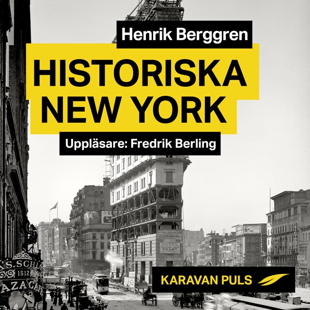 Book cover for Historiska New York