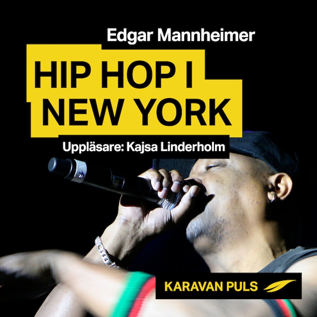 Buchcover für Hiphop i New York