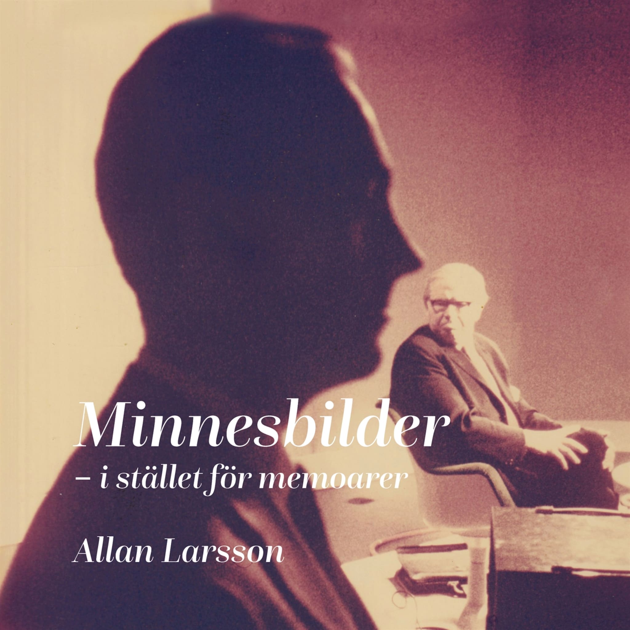 Minnesbilder - istället för memoarer