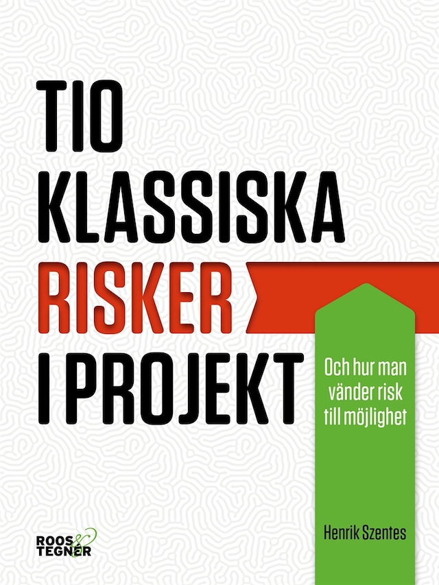 Book cover for Tio klassiska risker i projekt : och hur man vänder risk till möjlighet