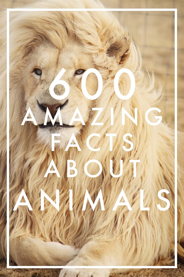 Bokomslag for 600 Amazing Facts About Animals