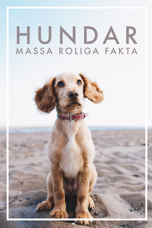 Book cover for HUNDAR Massa roliga fakta