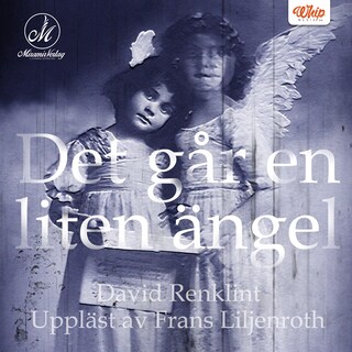 Det går en liten ängel bookCoverFor