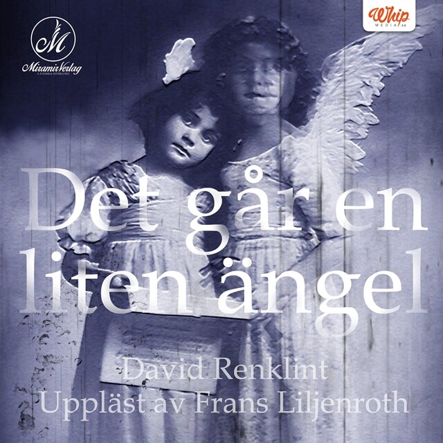 Book cover for Det går en liten ängel