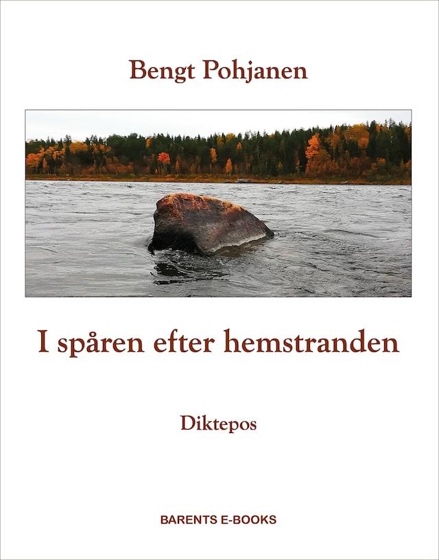 Book cover for I spåren efter hemstranden