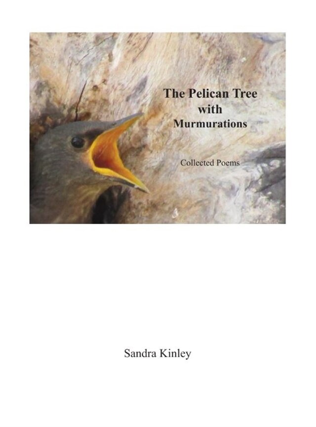 Copertina del libro per The Pelican Tree with Murmurations