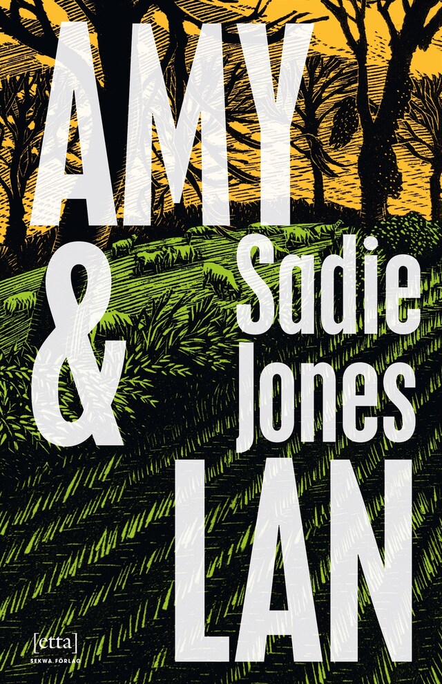 Book cover for Amy & Lan