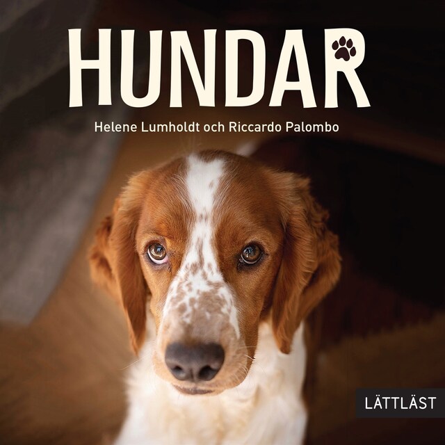 Book cover for Hundar (lättläst)