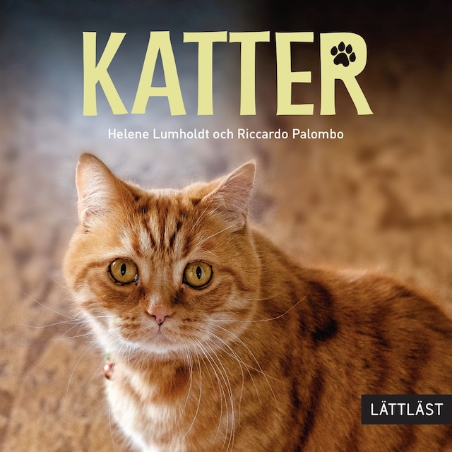 Boekomslag van Katter (lättläst)