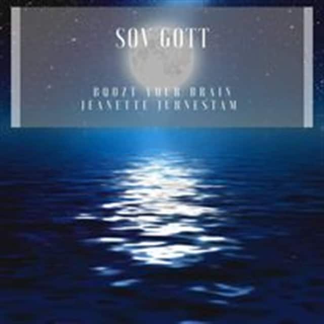 Book cover for Sov Gott
