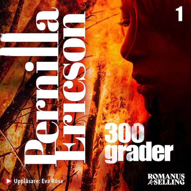Book cover for 300 grader