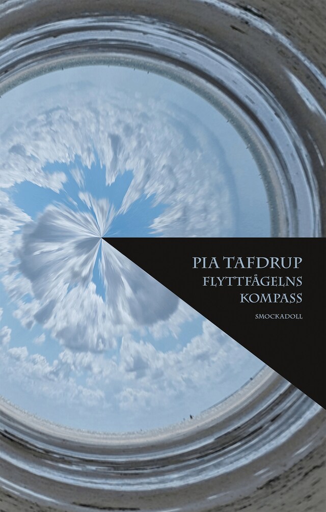 Portada de libro para Flyttfågelns kompass