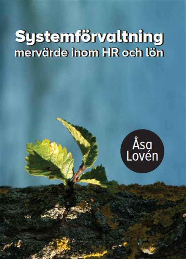 Book cover for Systemförvaltning - mervärde inom HR och lön