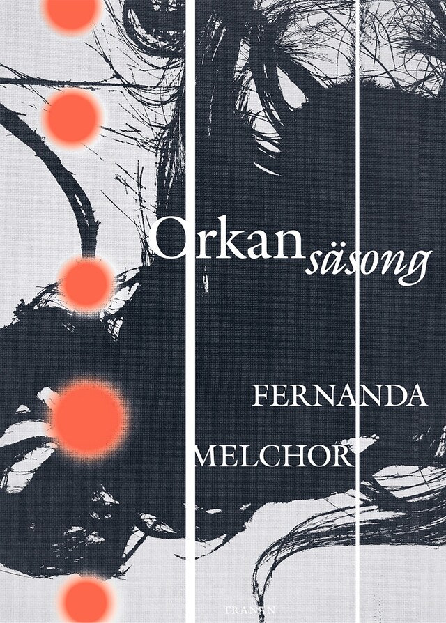 Couverture de livre pour Orkansäsong