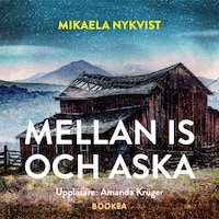 Mellan is och aska