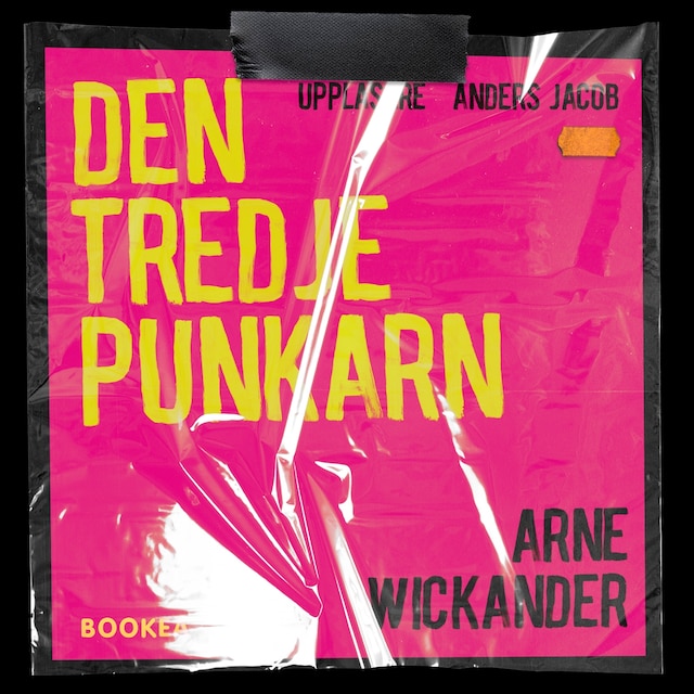 Book cover for Den tredje punkarn