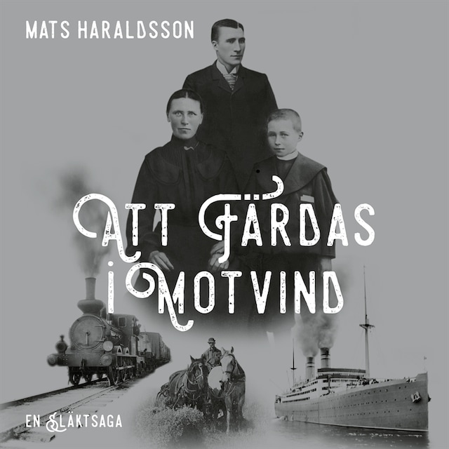 Copertina del libro per Att färdas i motvind : en släktsaga