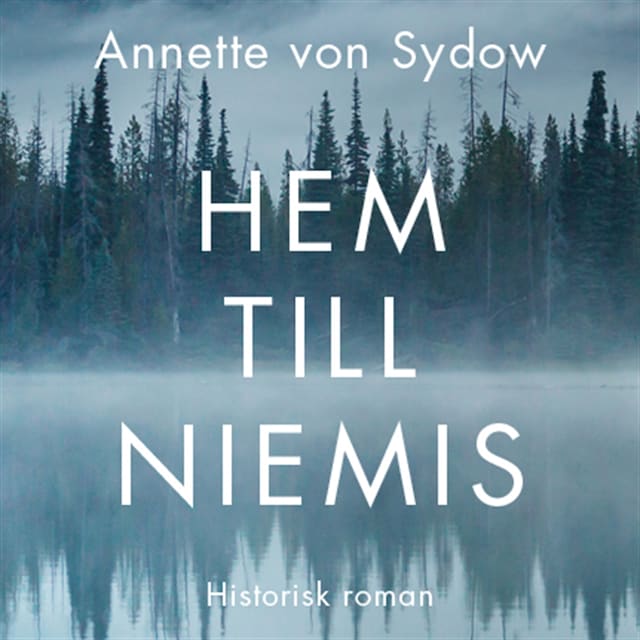 Book cover for Hem till Niemis